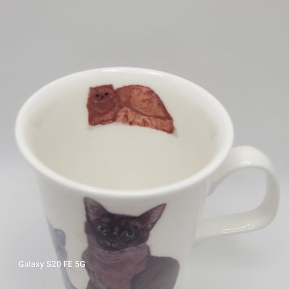 CATS GALORE Fine Bone China LANCASTER Mug by ROY KIRKHAM - Picture 2 of 9